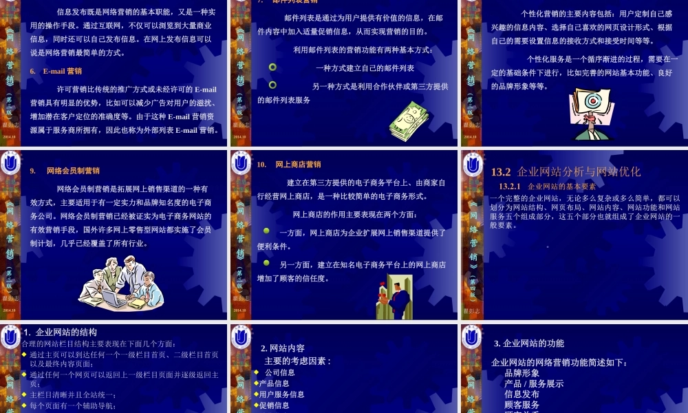 13第13章网络营销综合应用.ppt