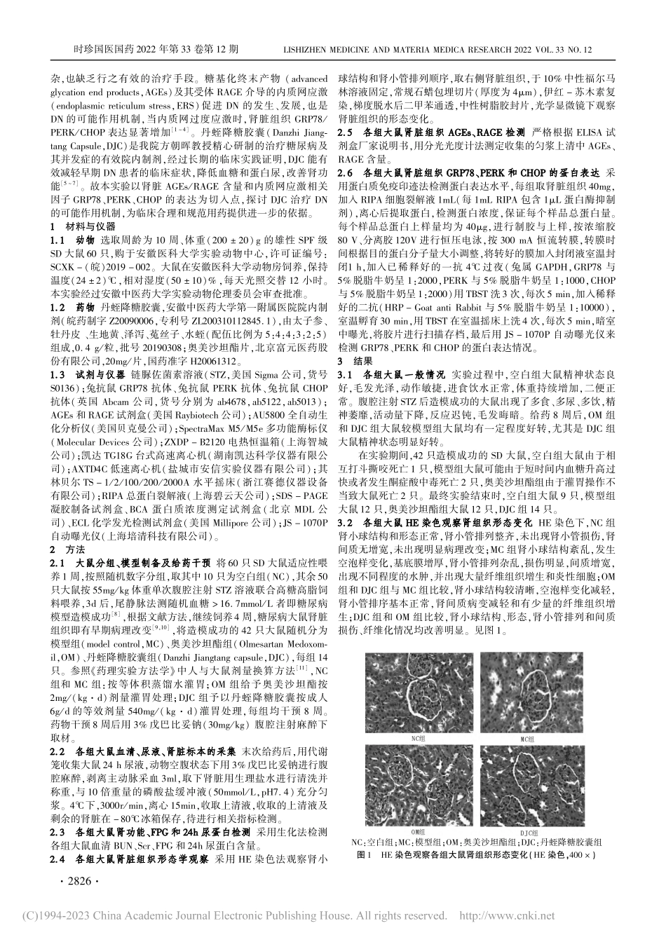 丹蛭降糖胶囊对糖尿病肾病大...RK通路关键蛋白表达的影响_汪四海.pdf_第2页