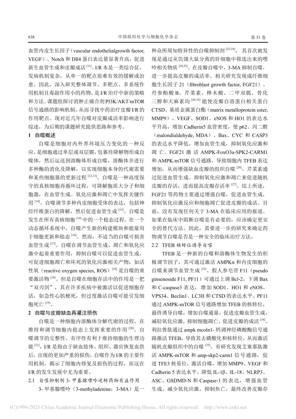自噬与皮瓣缺血再灌注损伤_张团庄.pdf_第2页