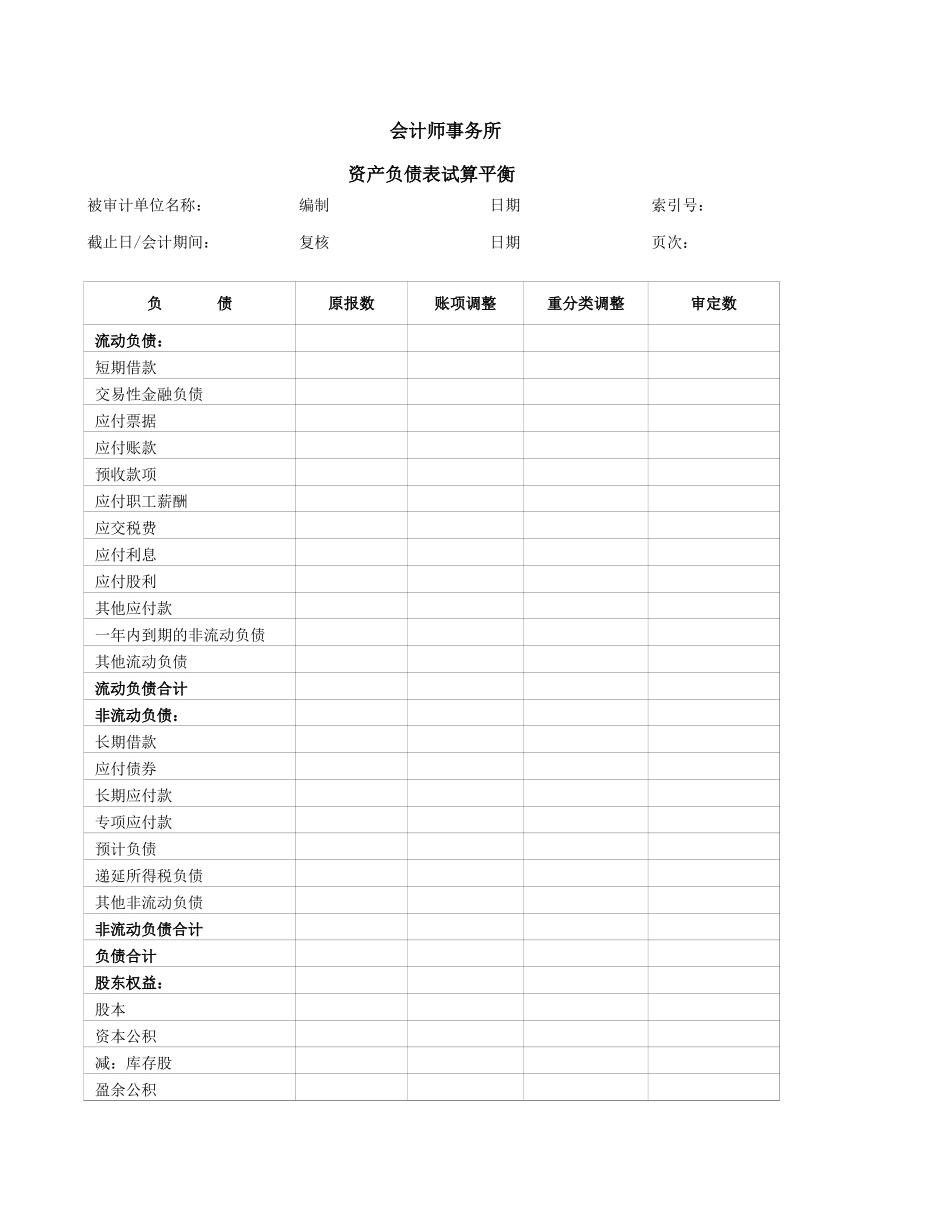 A18-5 单体公司试算平衡（模板）.xls_第2页