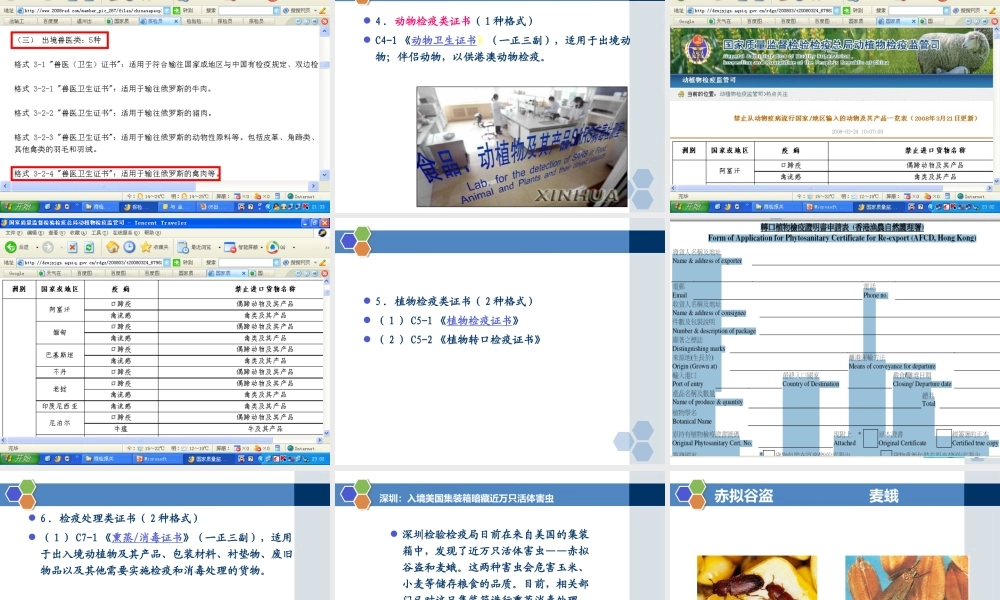 CH10出入境检验检疫签证、通关和放行.ppt