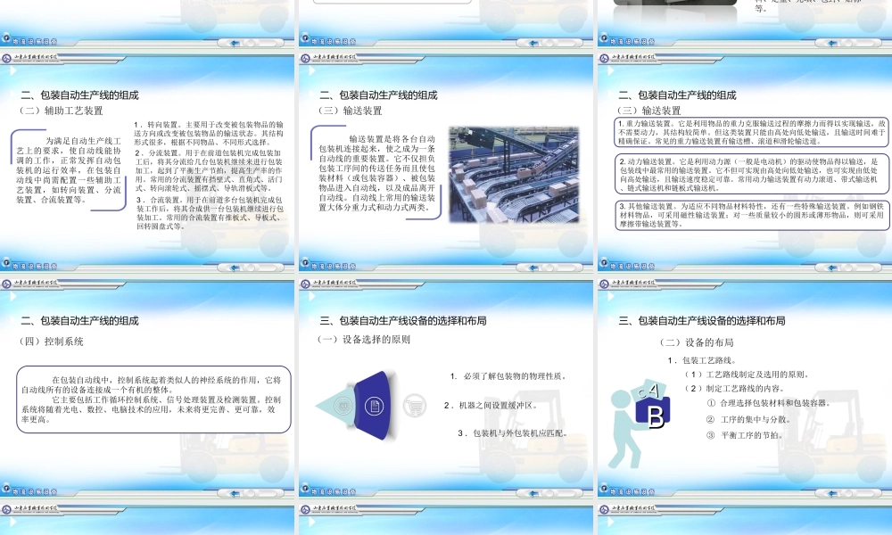 包装自动生产线.ppt