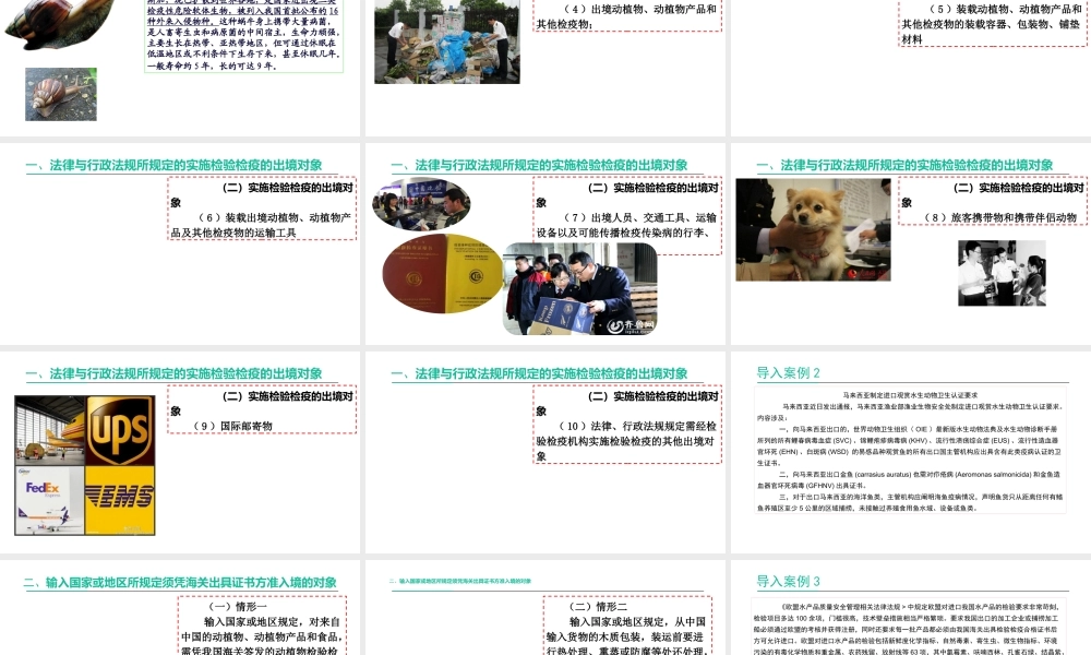 出境货物报检的范围.pptx