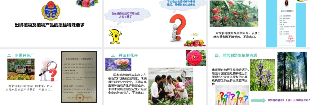 出境植物及植物产品的报检特殊要求.pptx