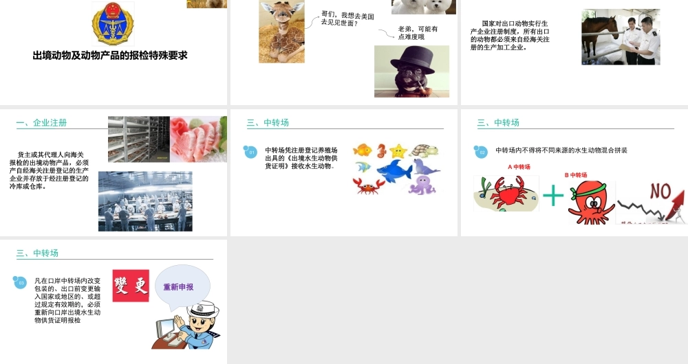 出境动物及动物产品的报检特殊要求.pptx