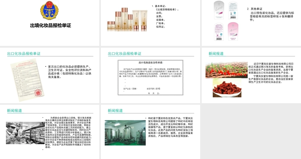 出境化妆品报检单证.pptx