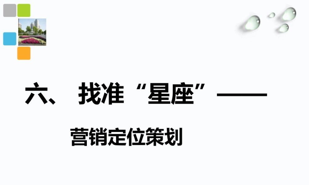 6 找准 “星座”—— 营销定位策划.ppt