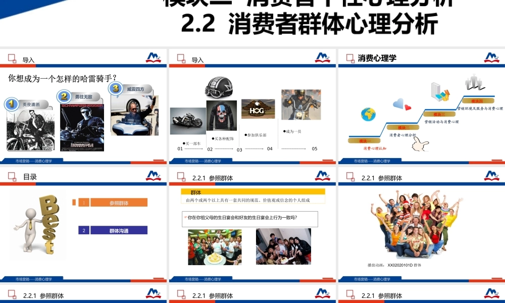 08-2.2 消费者群体心理分析.ppt