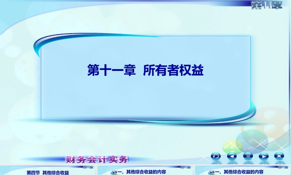 113其他综合收益.ppt