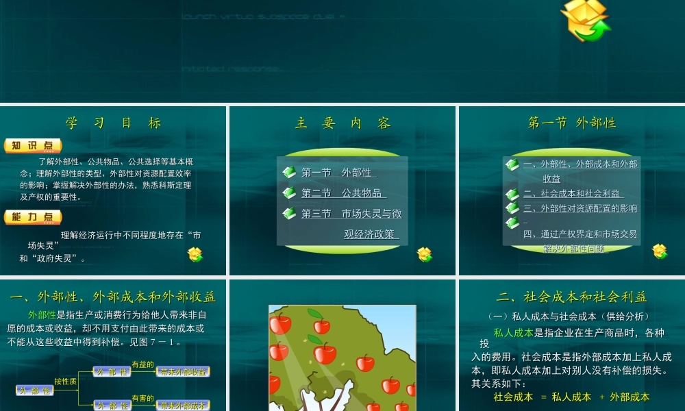 07第七章 外部性、公共物品与政府.ppt