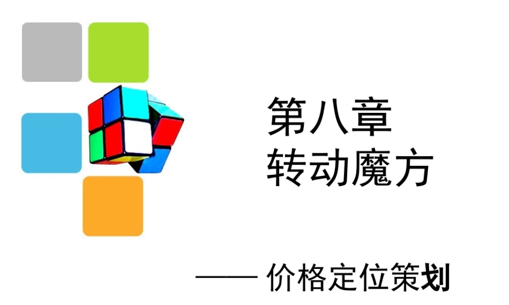 8 转动魔方 价格策略.ppt