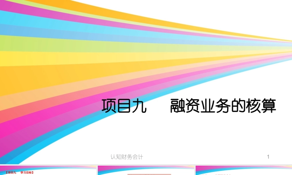 9杨柳项目九融资业务核算.pptx