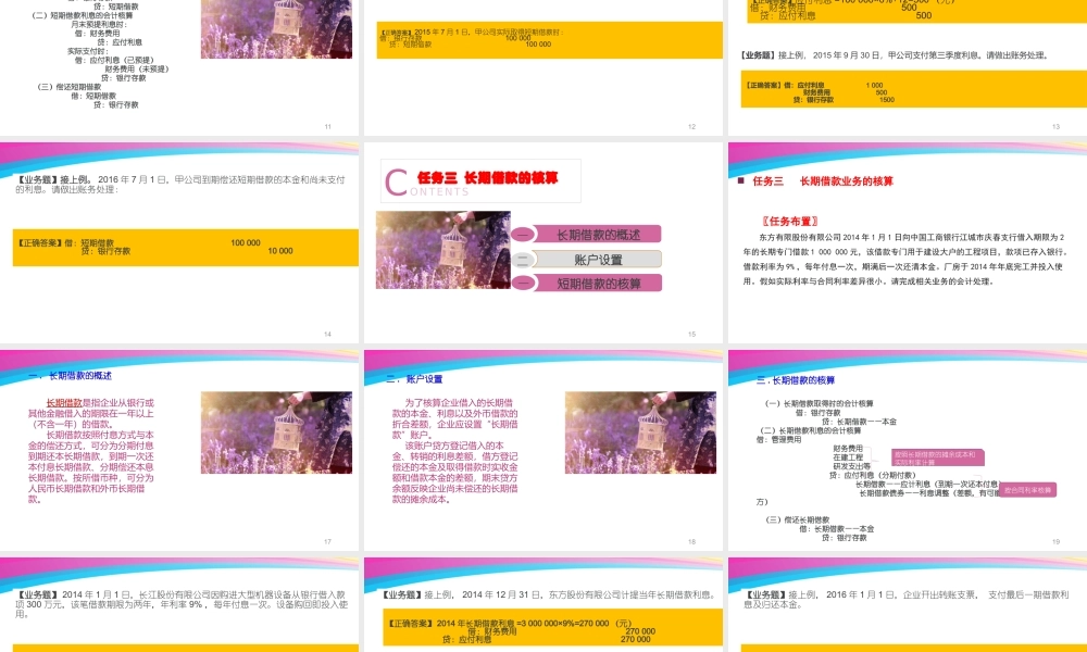 9杨柳项目九融资业务核算.pptx