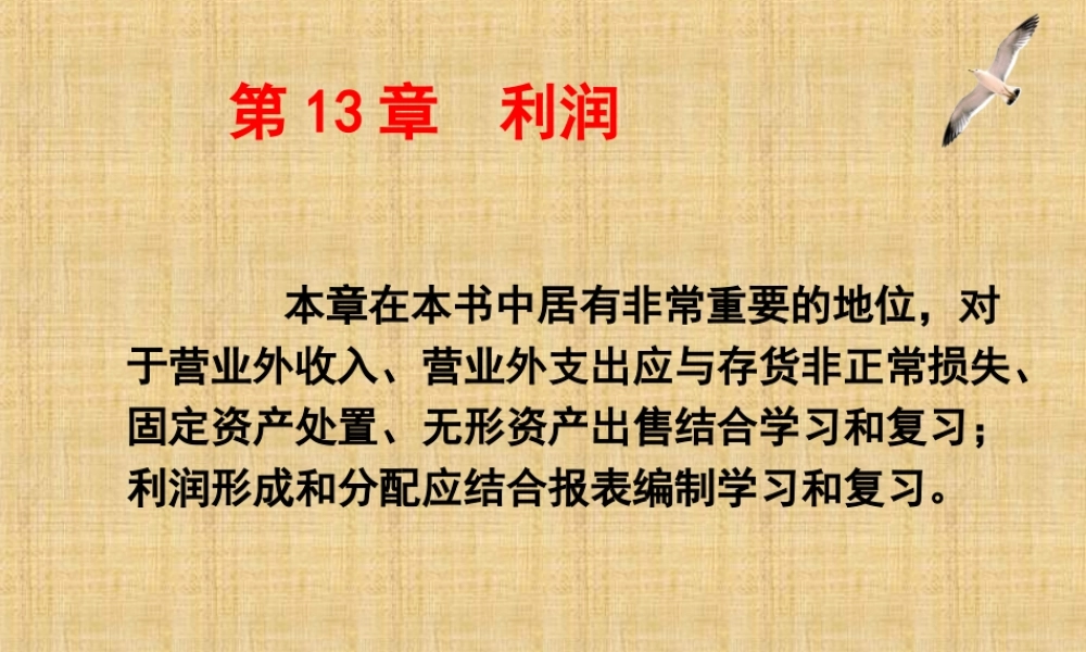 13第13章利润.ppt