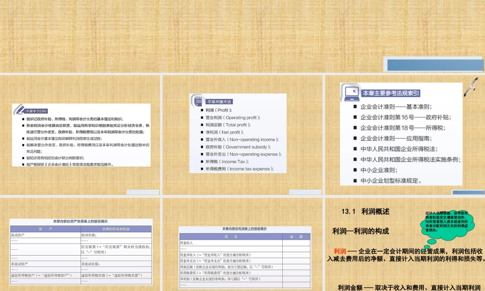 13第13章利润.ppt
