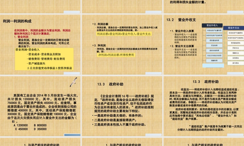 13第13章利润.ppt