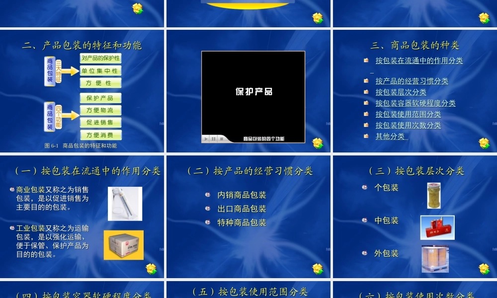 06第六章 商品包装和集装化.ppt