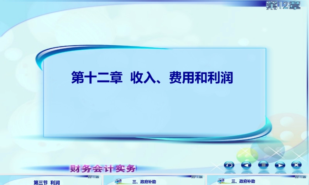 128政府补助（选学内容）.ppt