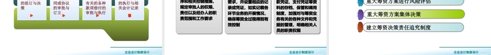 3.5筹资业务制度设计..ppt