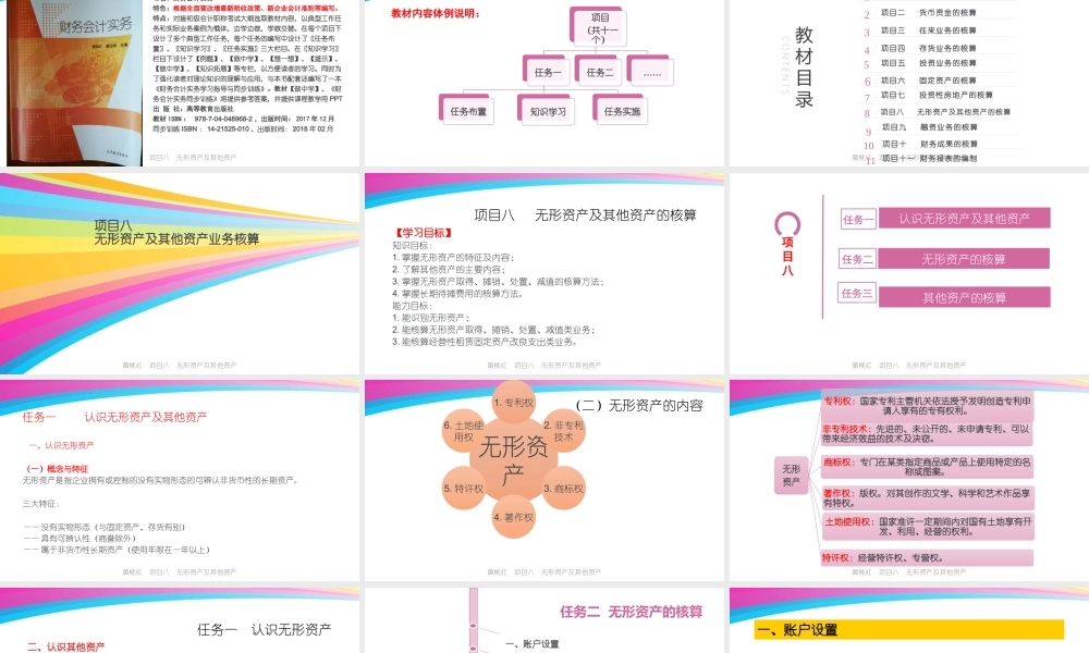 8黄桃红项目八无形资及其他资产核算.pptx