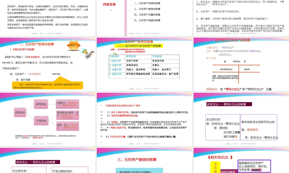 8黄桃红项目八无形资及其他资产核算.pptx