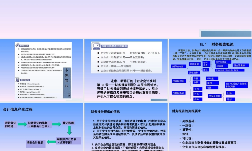15第15章财务报表.ppt