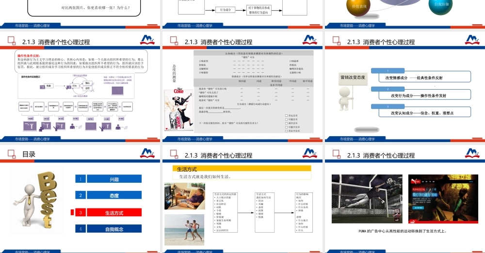 07-2.1.3 消费者个性心理过程.ppt