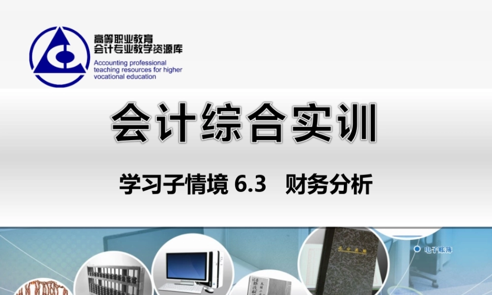 6.3 财务分析..ppt