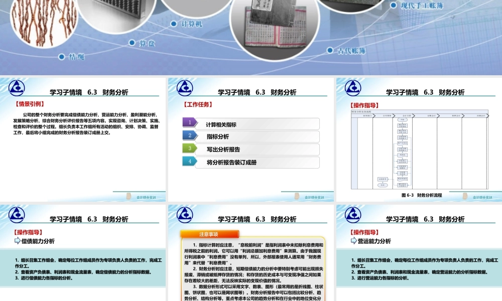 6.3 财务分析..ppt