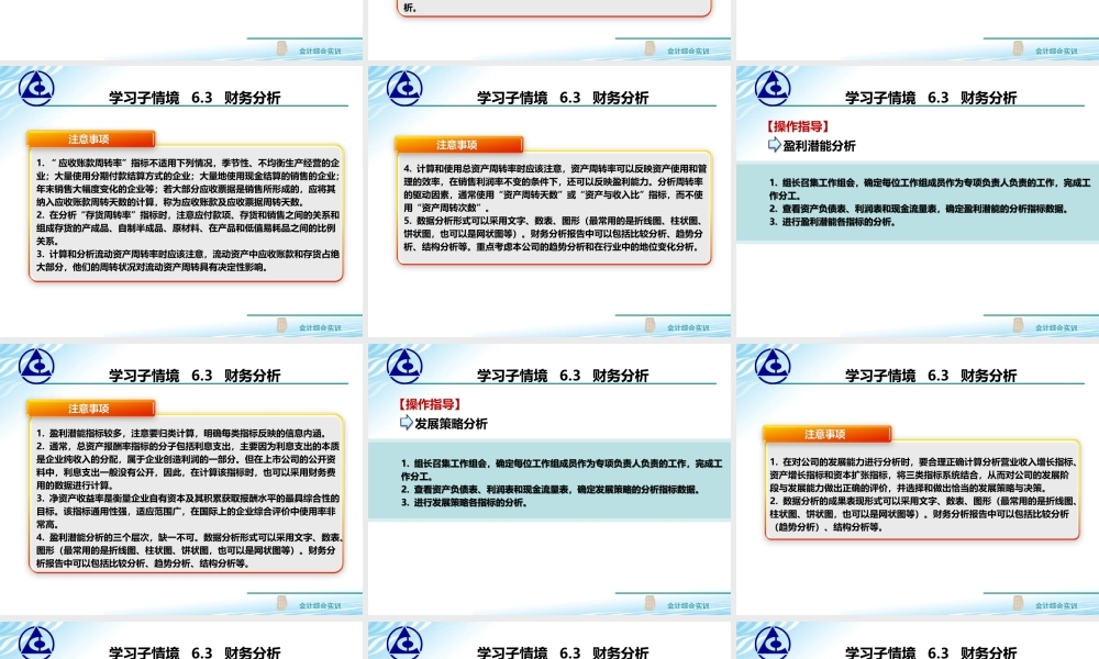 6.3 财务分析..ppt