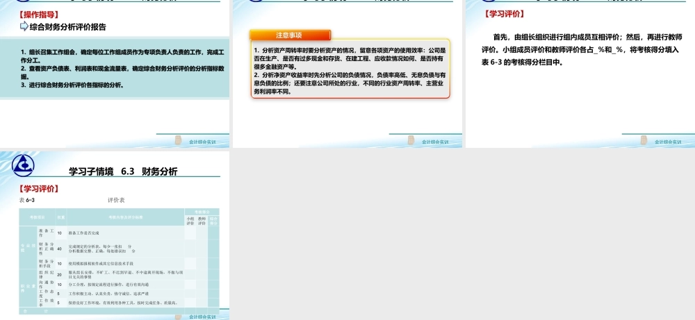 6.3 财务分析..ppt