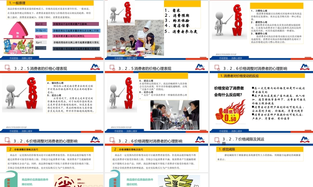 10-3.2 营销定价策略与消费心理.ppt