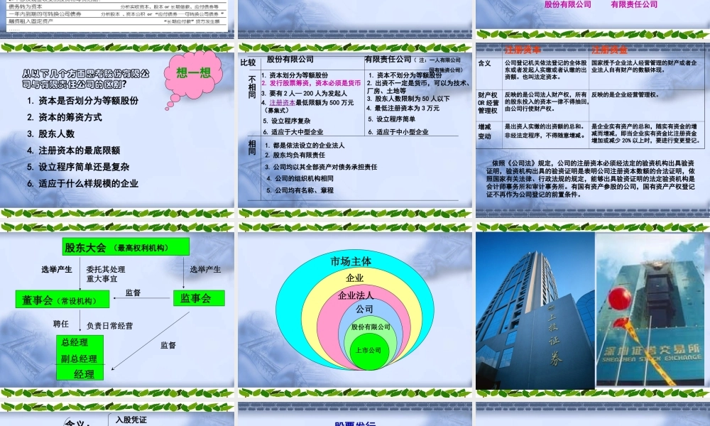 14第14章所有者权益.ppt