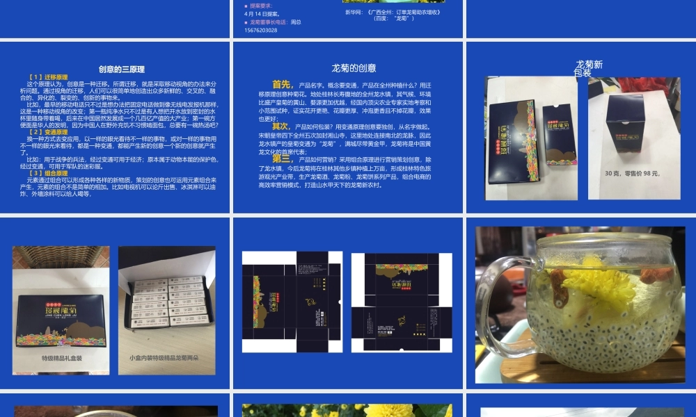 2015级策划创意作业.ppt