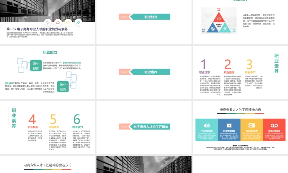 10.第十章 电子商务职业与创业.pptx