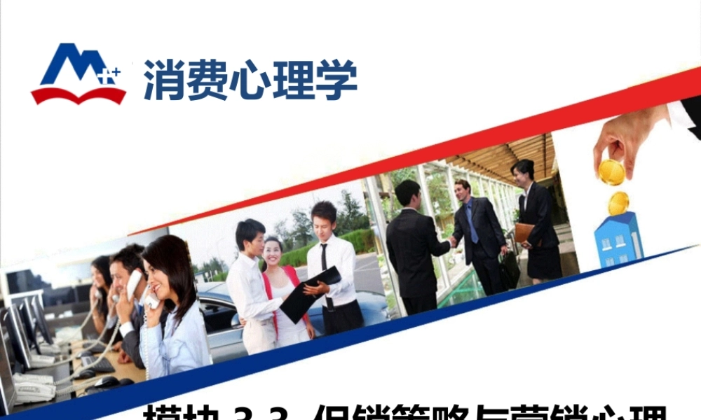 11-3.3 促销策略与营销心理.ppt