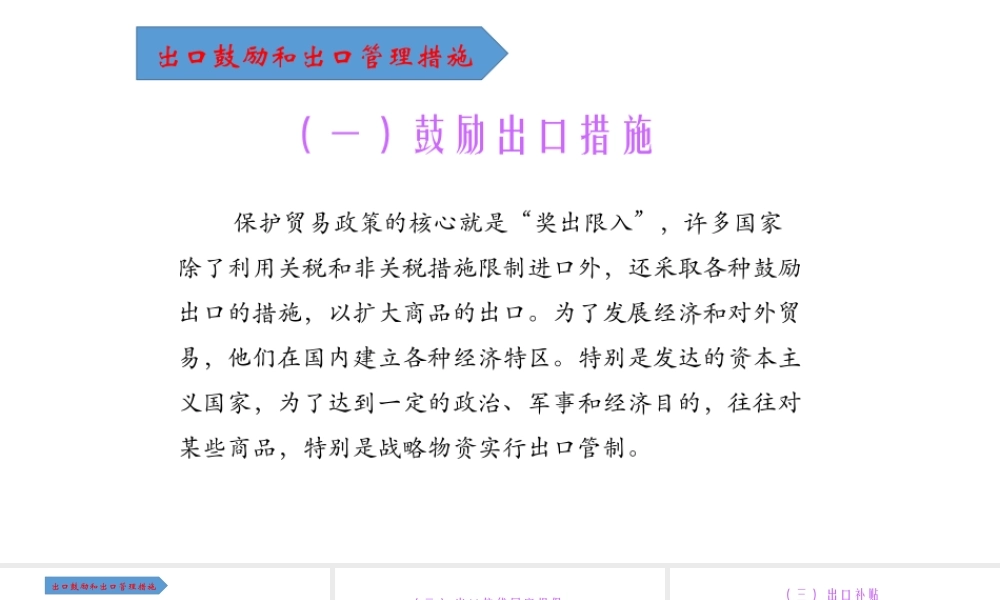 24出口鼓励和出口管制措施.pptx