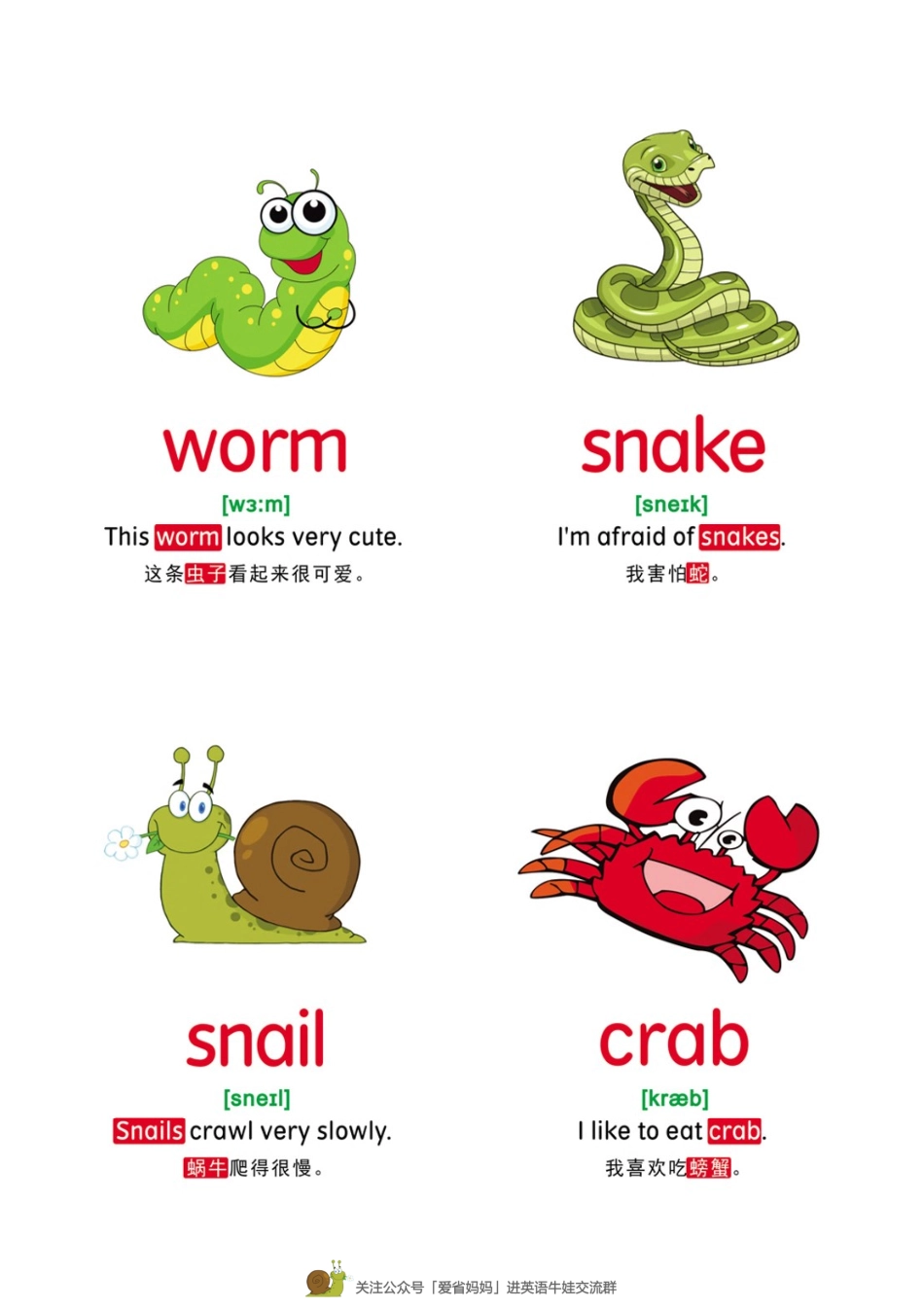 4【动物】78张(1).pdf_第1页