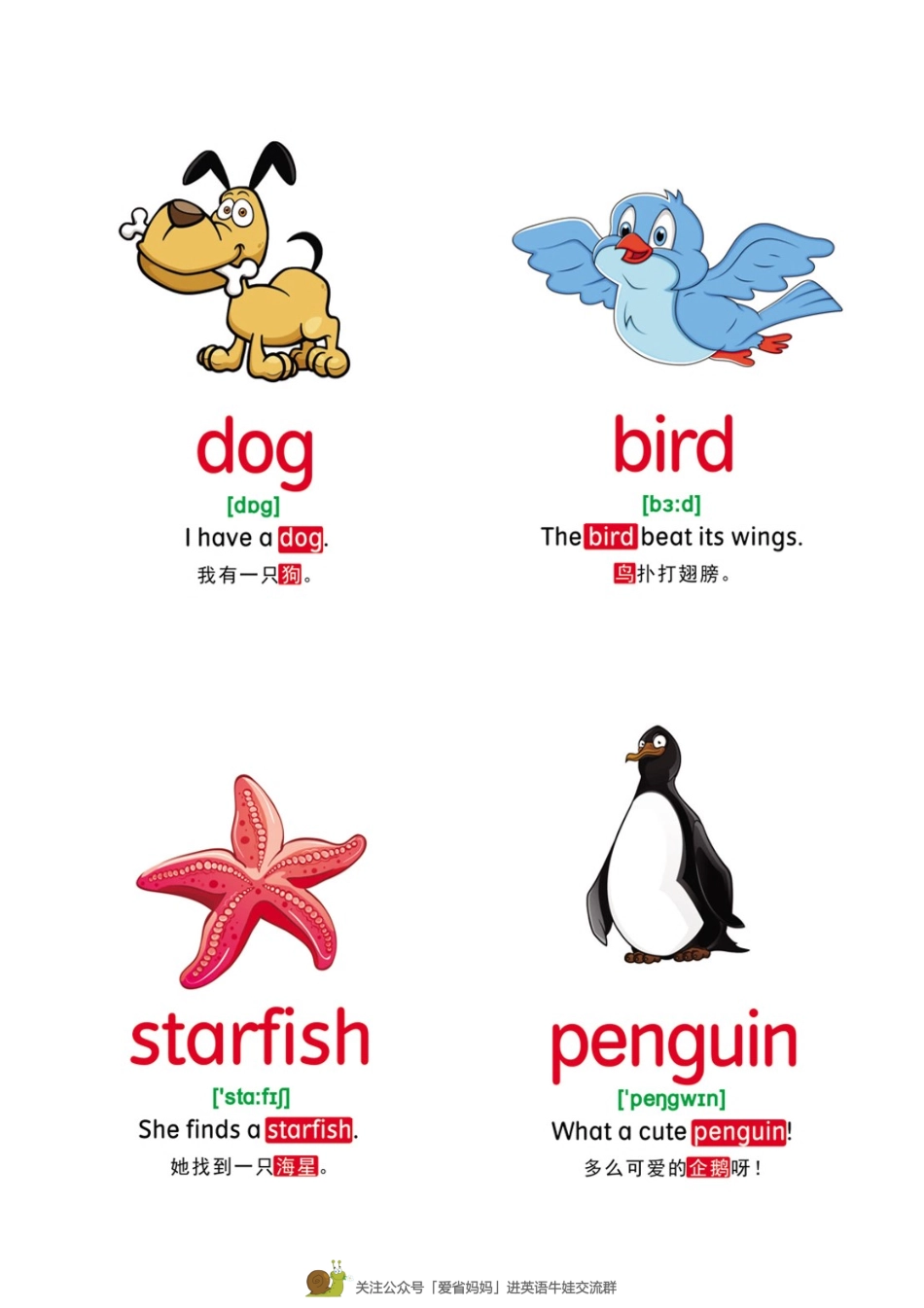 4【动物】78张(1).pdf_第3页