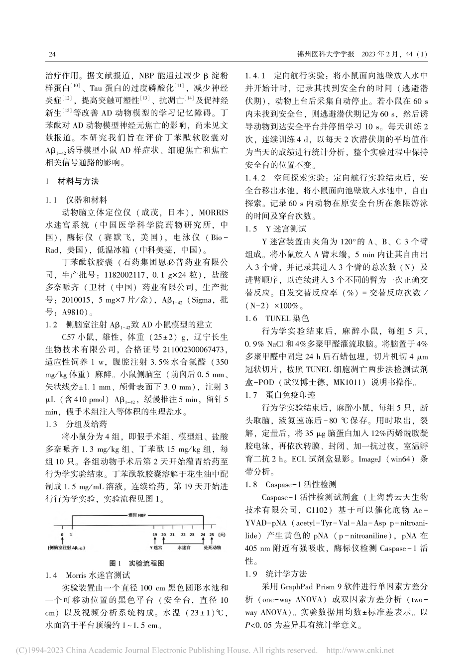 丁苯酞软胶囊对小鼠阿尔茨海默病学习记忆障碍的影响_苏洛漩.pdf_第2页