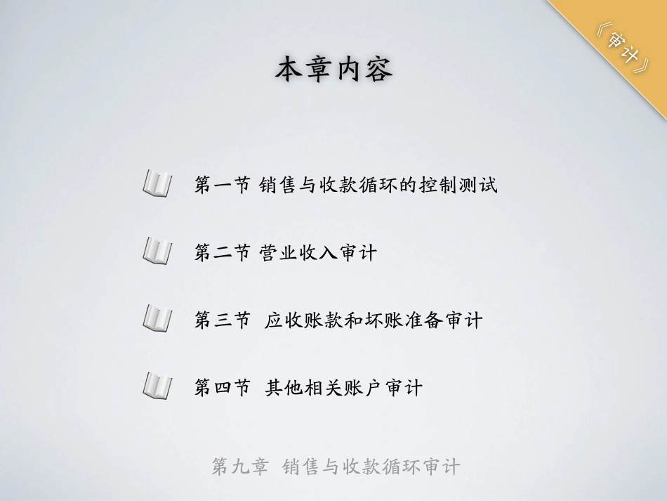 shenji-9.pdf_第2页