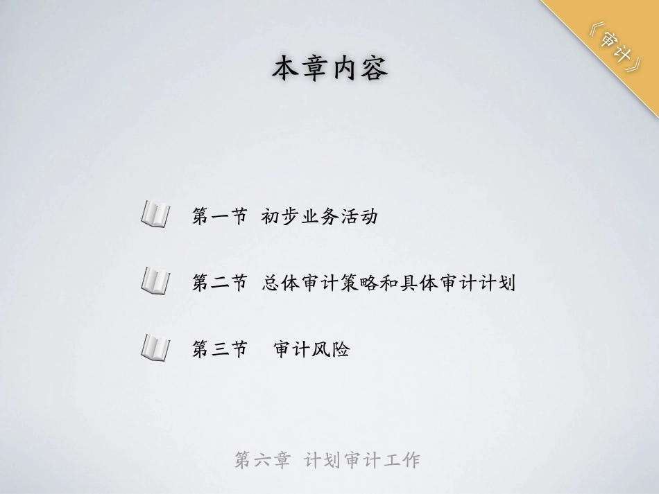 shenji-6.pdf_第2页