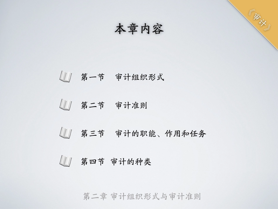 shenji-2.pdf_第2页