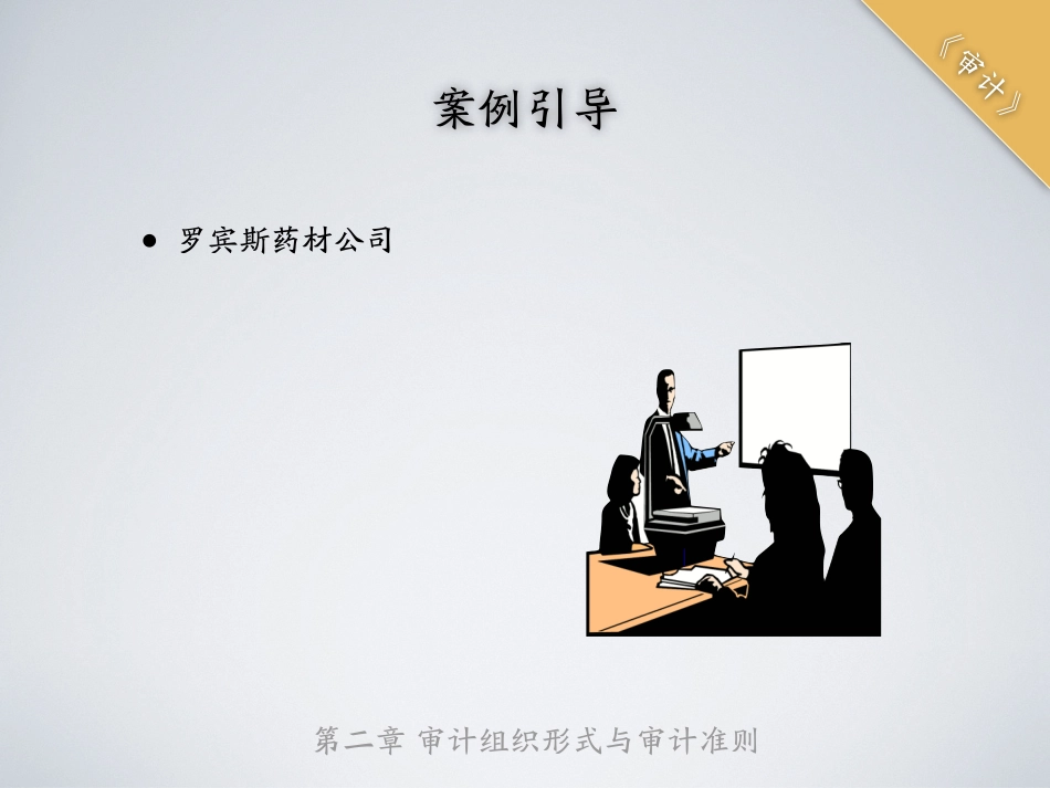 shenji-2.pdf_第3页