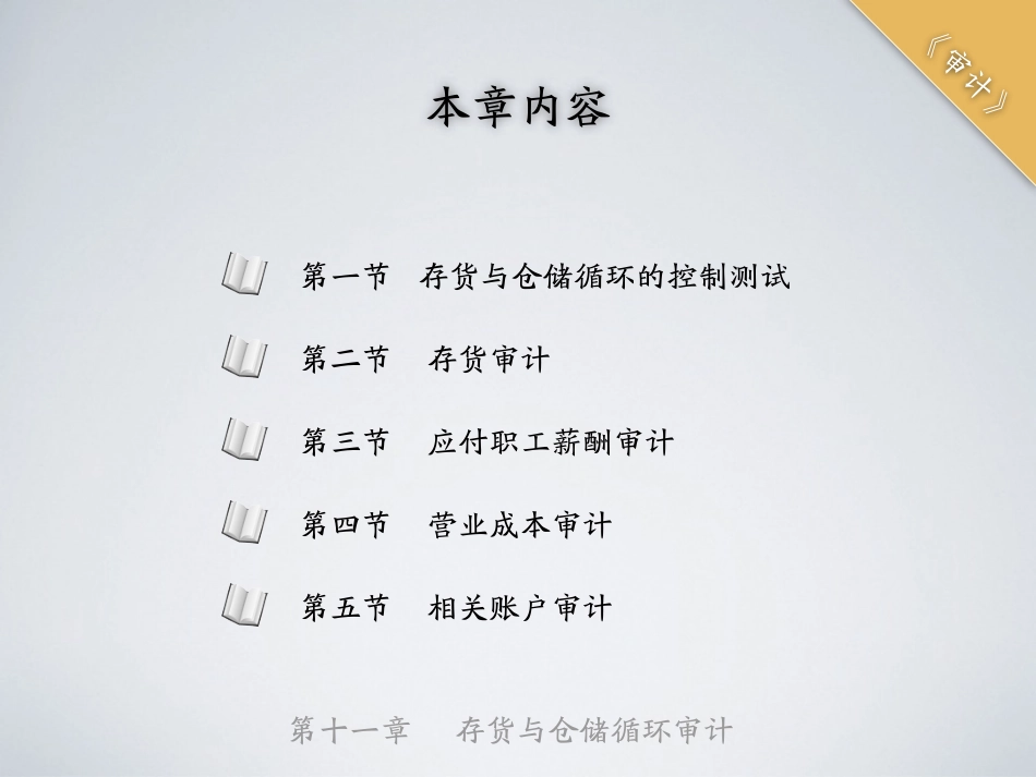 shenji-11.pdf_第2页