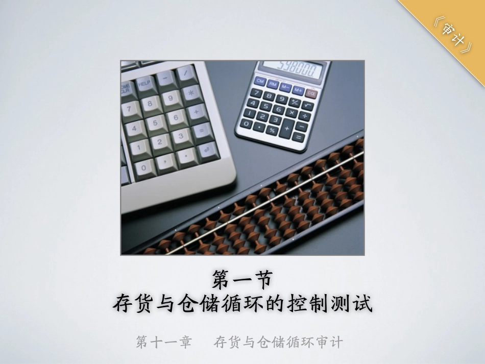 shenji-11.pdf_第3页