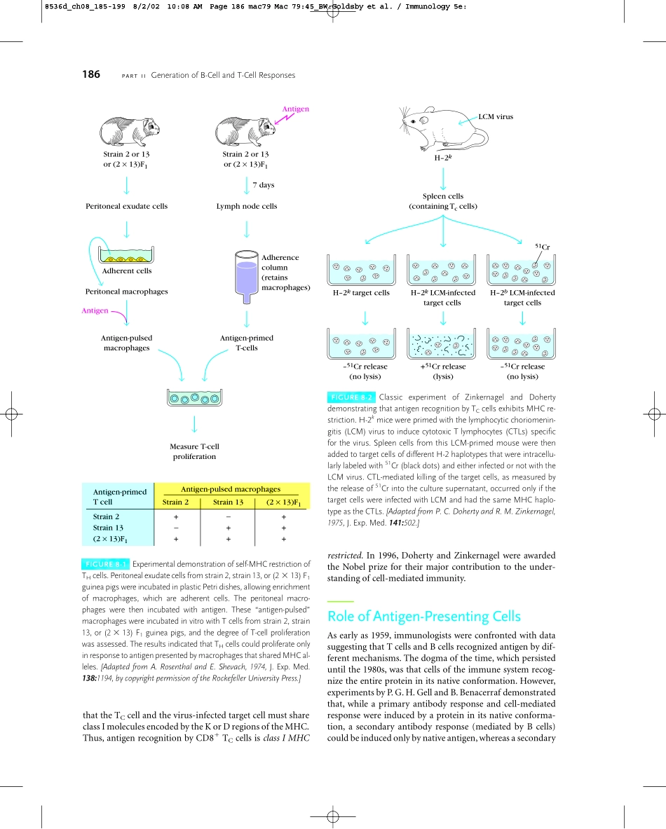 Chapter+08(1).pdf_第2页