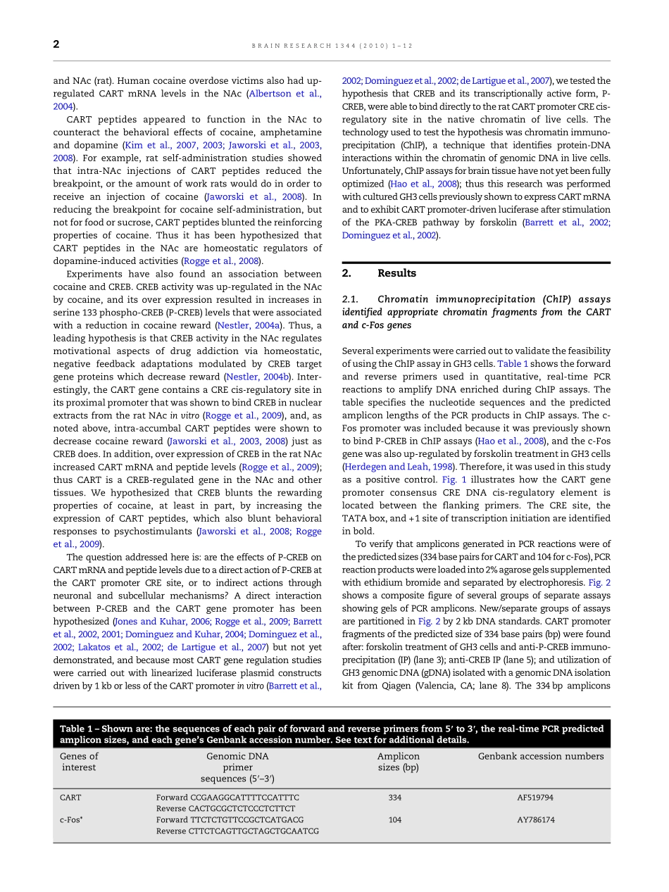 ChIP assays revealed gene proximal promoter(1).pdf_第2页