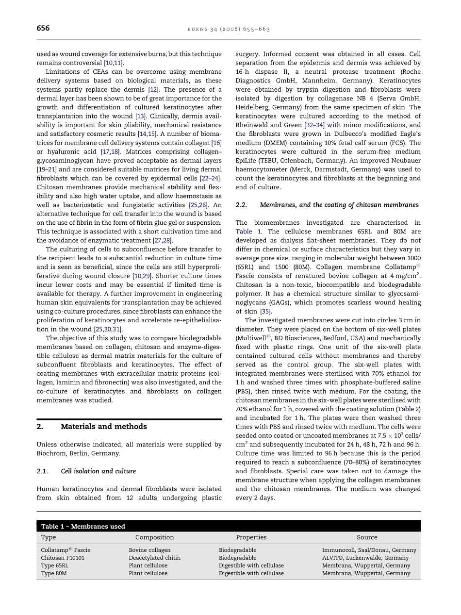 culture of subconflu.pdf_第2页