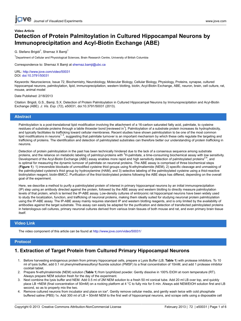detection-protein50331.pdf_第1页